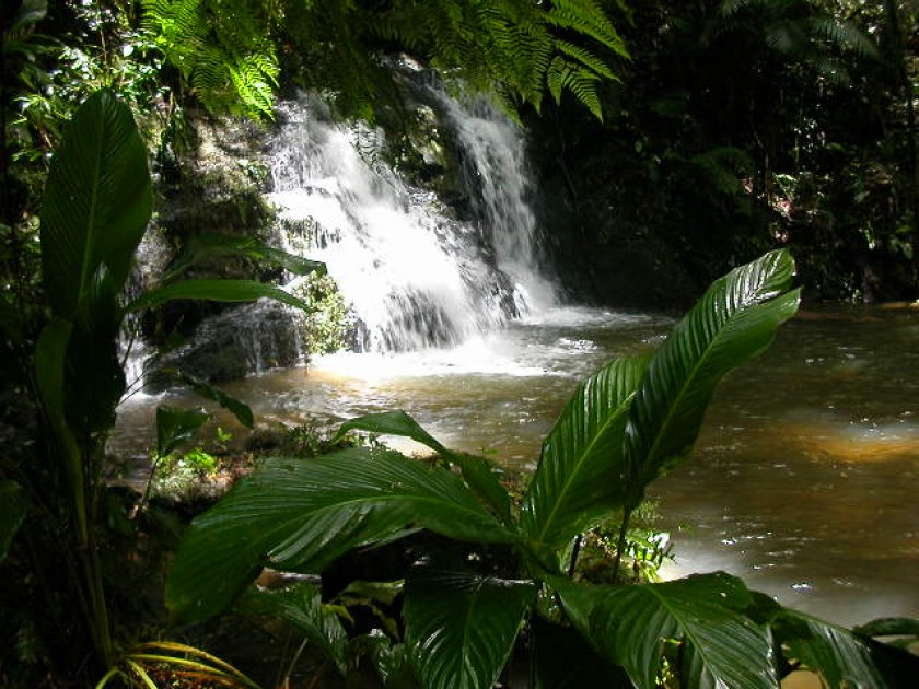 Cachoeira Dourada 2